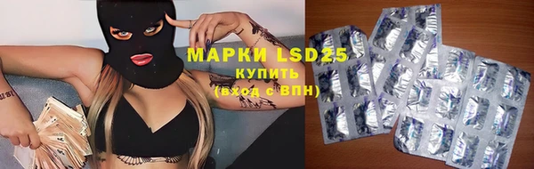 сатива Кулебаки