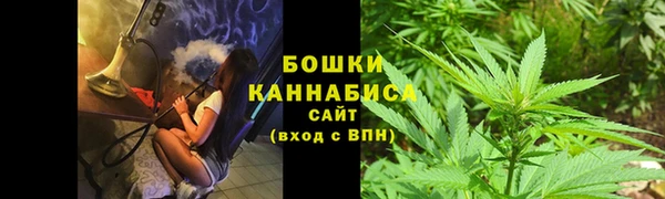 сатива Кулебаки