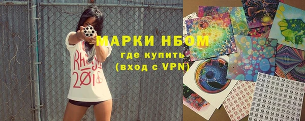 сатива Кулебаки