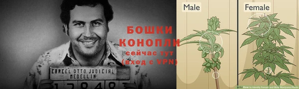 сатива Кулебаки