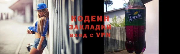 сатива Кулебаки