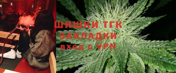 сатива Кулебаки