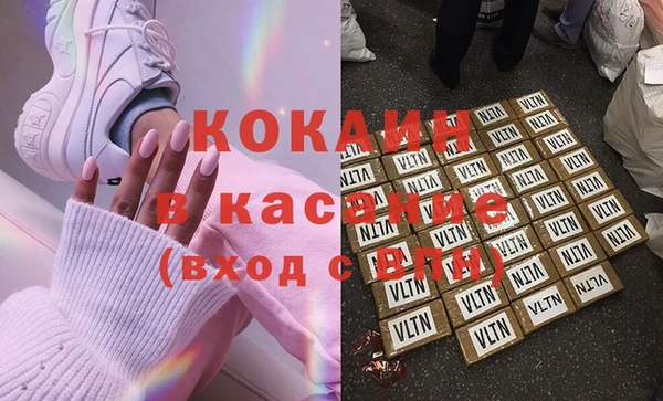 сатива Кулебаки