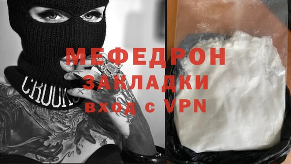 сатива Кулебаки