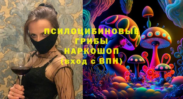 Альфа ПВП Кукмор