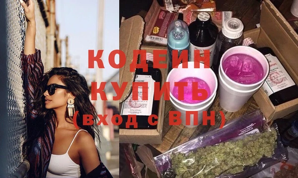 сатива Кулебаки