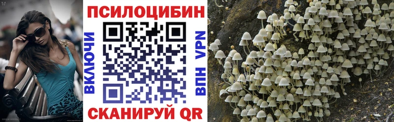 Псилоцибиновые грибы Psilocybine cubensis  где можно купить   Мариинск 