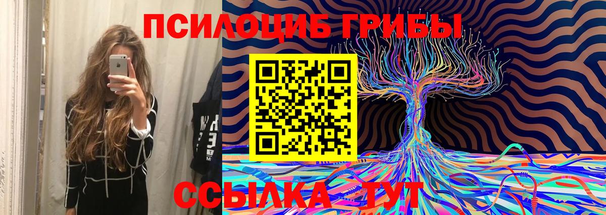 Псилоцибиновые грибы Magic Shrooms  Псилоцибиновые грибы мицелий  Вход с VPN  Мариинск 